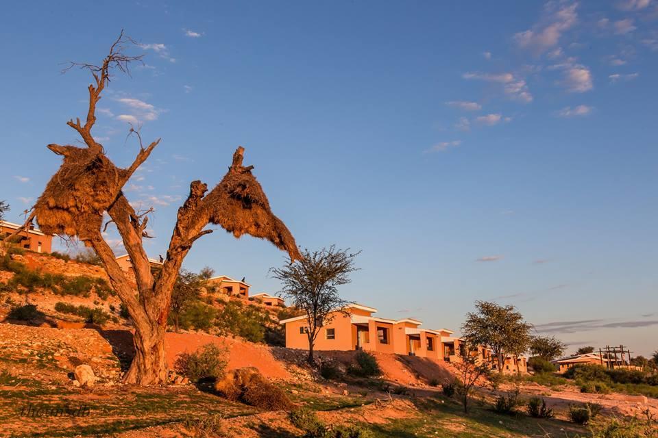 Kgalagadi Lodge Askham Exterior foto